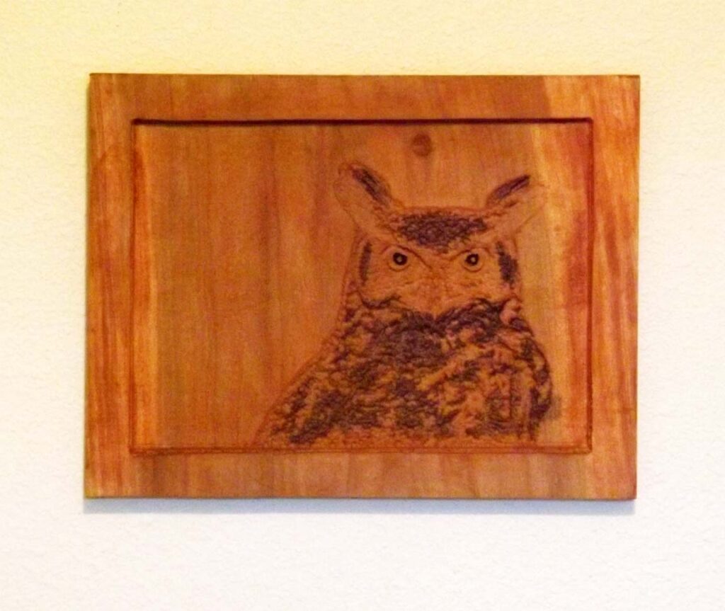 GREAT-HORNED-OWL