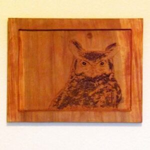 GREAT-HORNED-OWL